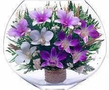 Стабилизированная композиция "Ариель"