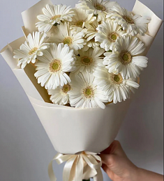 Букет из 15 гербер