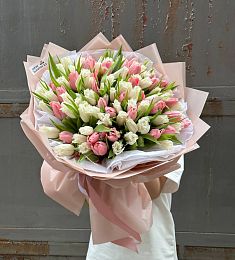 Букет "Роскошный букет" из 101 розового и белого тюльпана