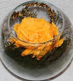 Стабилизированная композиция "Апельсиновое сердце"