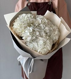 3 белые гортензии в оформлении