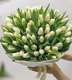 51 белый тюльпан в букете
