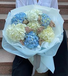 Букет "Гортензии с озотамнусом"