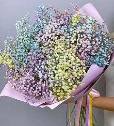 Букет из 15  гипсофил разных цветов