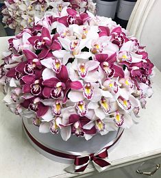 101 орхидея в коробке