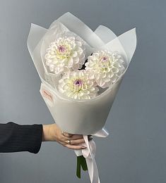 Букет из 3 георгинов