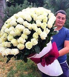 101 роза 100 см сорта MONDIAL