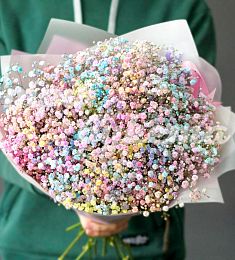 Букет из 15  гипсофил микс