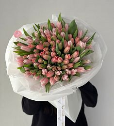 Букет "Jamila" из 95 тюльпанов