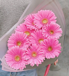 Букет из 9 розовых гербер