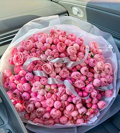 51 пионовидная спрей роза