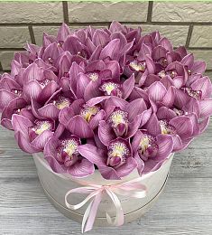 39 орхидей в коробке