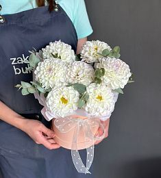 Букет из 7 георгинов в коробке