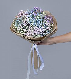 Букет из 5  гипсофил разного цвета