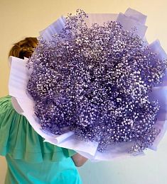 Букет из 15 фиолетовых гипсофил