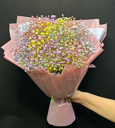 Букет из 7 гипсофил разных цветов