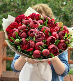 Букет из 33 коллекционных пионов