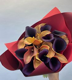 Букет из 19 черных и оранжевых калл