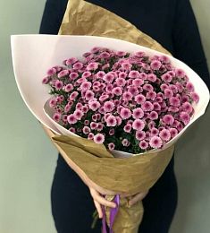 Букет из 15 розовых кустовых хризантем сантини