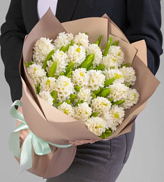 Букет из 25  гиацинтов белых 
