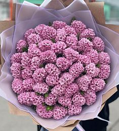 Букет из 51 фиолетового гиацинта
