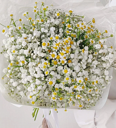 Букет "Лигини"из кустовой ромашки и гипсофилы
