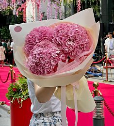 3 розовые гортензии в оформлении