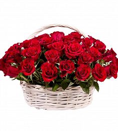 51 голландская красная роза в корзину