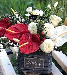 BASKET 3.0 букет из Антуриума, Ранункулюса, Гипперикума и фалариса