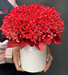 5 красных гипсофил в коробке