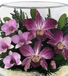 Стабилизированная композиция "Райская доброта"