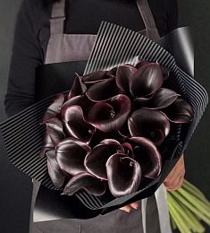 Букет из 25 черных калл