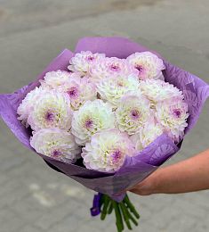 Букет из 19 нежных георгинов