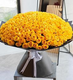 Большой букет роз (301 шт)