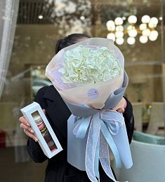 Сет "Макаронс + гортензия" моно букет из гортензии и коробочка макаронс