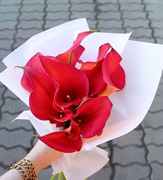 Букет из 9 красных калл