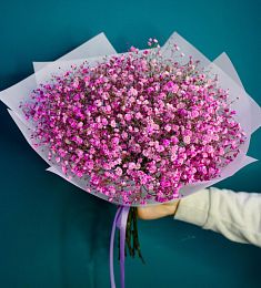 Букет из 5 розовых гипсофил 
