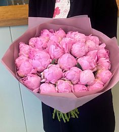 29 розовых голландских пионов в розовом оформлении