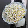 Букеты ромашек-кому