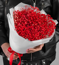 Букет из 9 красных гипсофил