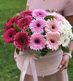 Композиция "Ундина" из гербер в коробке