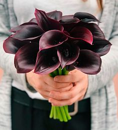 Букет невесты из 25 черных калл