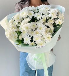 9 голландских хризантем в оформлении