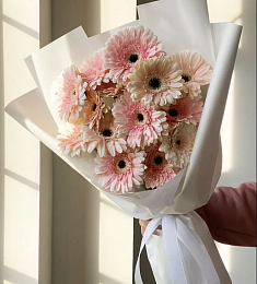 Букет из 15 нежных гербер