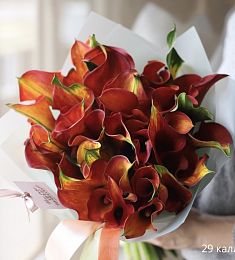 Букет из 29 оранжевых калл