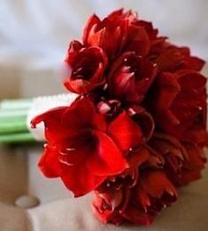 Букет невесты "Огниво" из Амариллиса