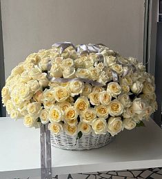 251 кэнделайт в корзине