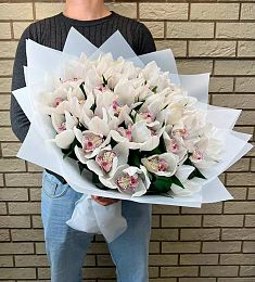Букет из 31 орхидеи с рускусом