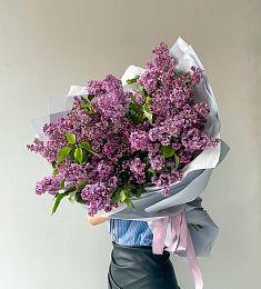 Букет сирени "Royalty"