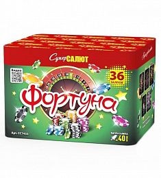 Салют "Фортуна"